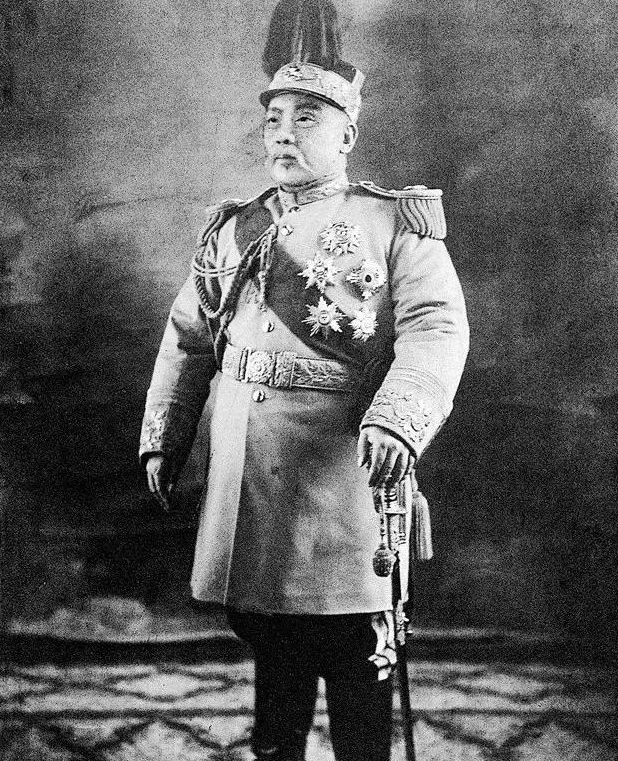 通过对张仲元为首的七名太医开出的药方进行查验,袁世凯得出了结论