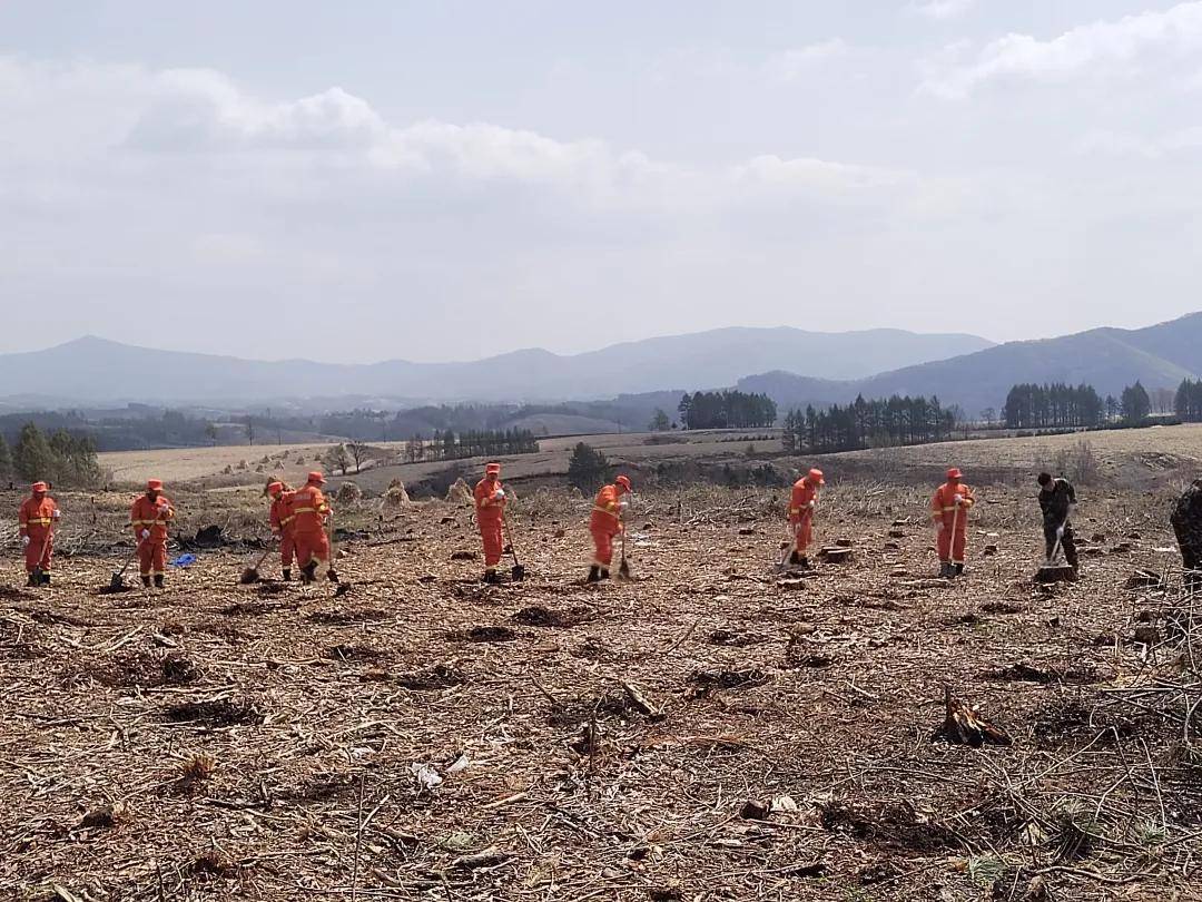绿美蛟河在行动 | 林业部门春季造林有"三招"