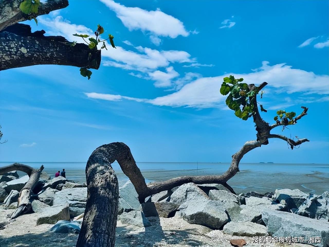 广西什么季节去旅行好,广西涠洲岛旅游攻略自由行路线,快收藏