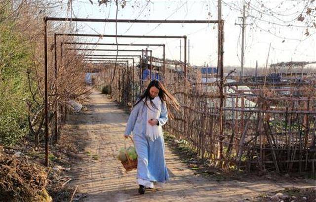 归隐山村种菜养鸡,如今怎么样了_刘娟_生活_田园