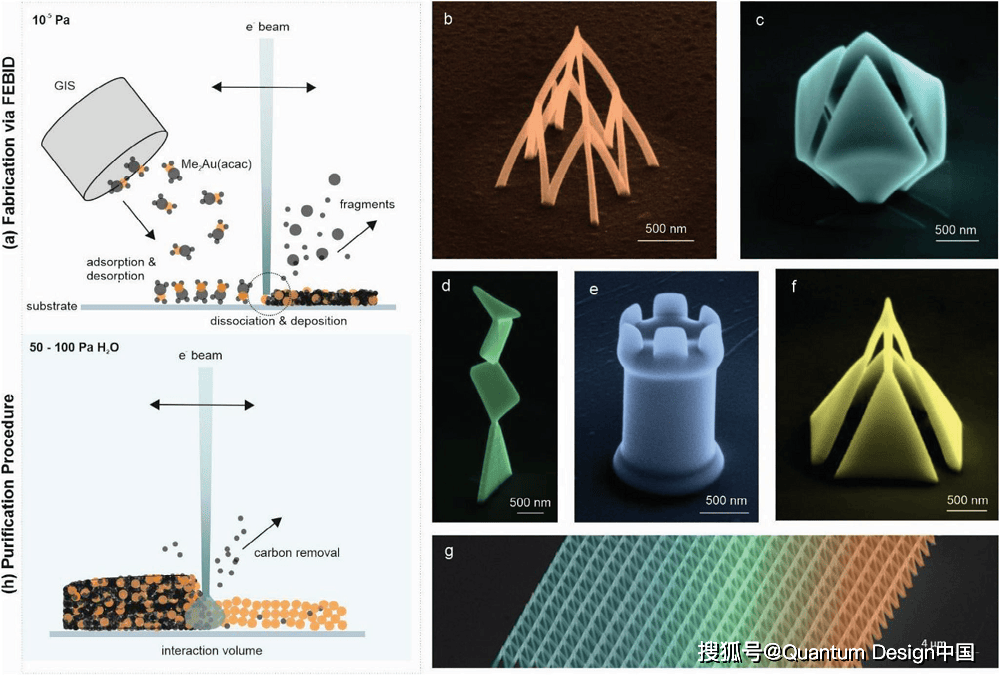afm/sem二合一显微镜,一键触达感兴趣区域,三维形貌轻松表征!