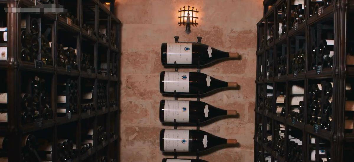 美国多位富豪向法庭抗议,想救华裔小伙出狱,只因他的假酒太好喝_鲁迪