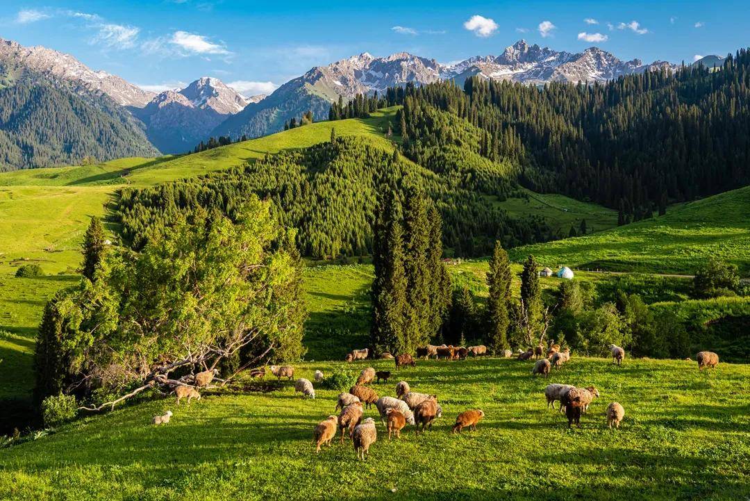中国新疆江南伊犁 | 环天山草原 独库公路纯玩休闲旅游摄影品质小团