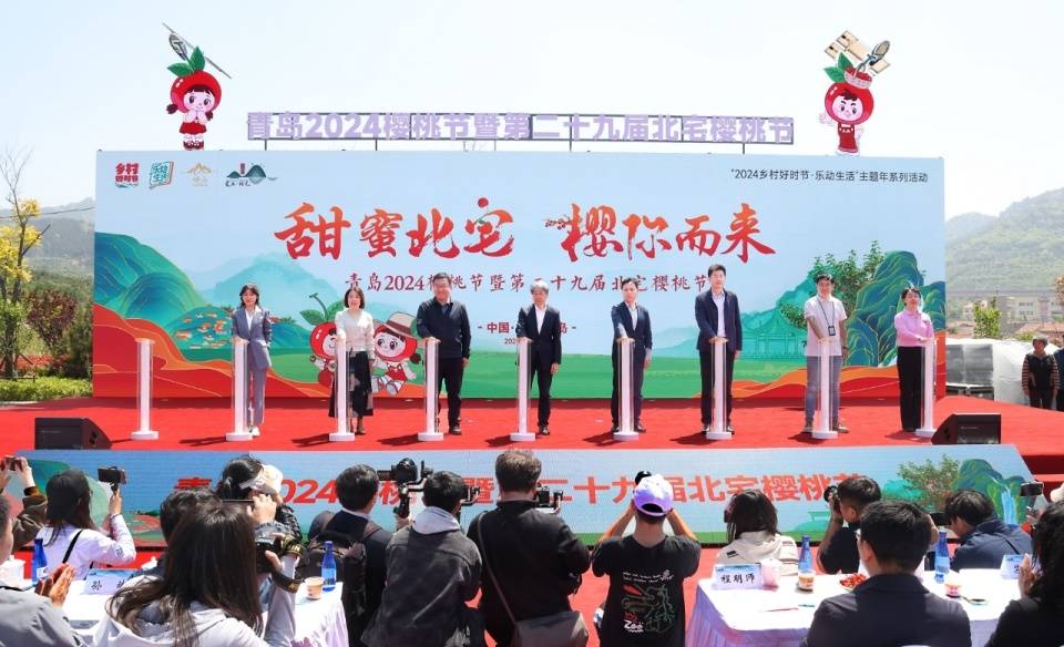 青岛2024樱桃节暨第二十九届北宅樱桃节甜蜜启动,精彩活动持续到6月