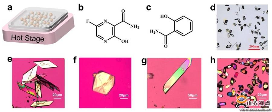陶绪堂教授团队发表药物共晶制备研究新进展