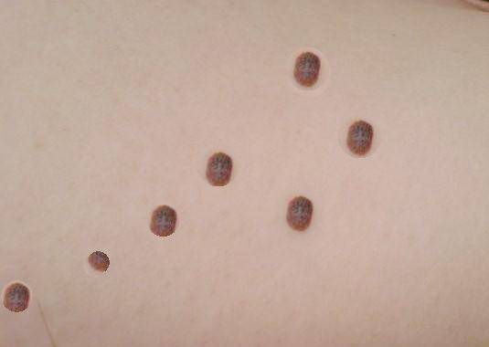 在小说中不是经常会有这样的桥段么,就是说但凡大人物的出生都会天伴