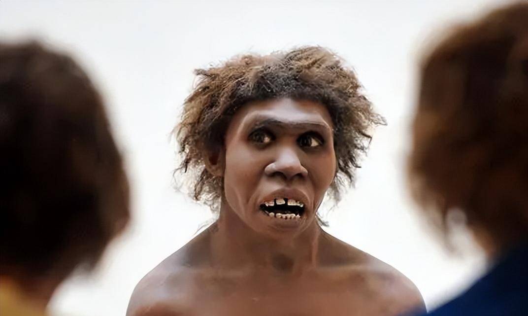 倘若他们还存在的话,人的生存会受到威胁_研究_人类_尼安德特