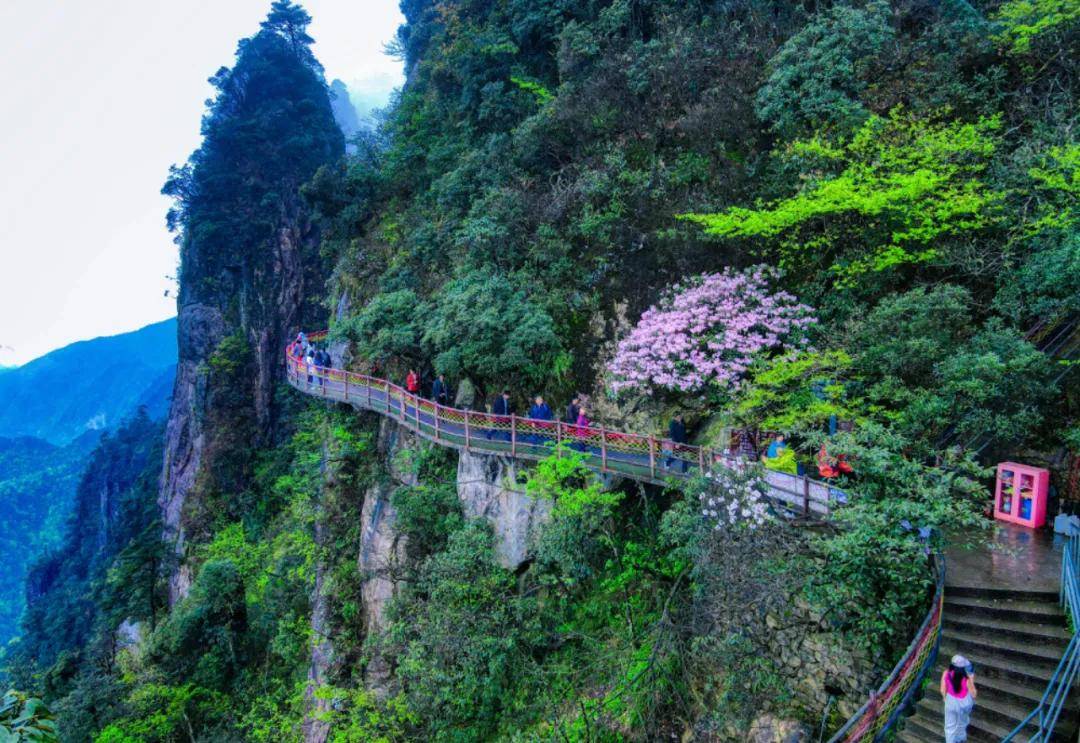 第二天:>莽山五指峰景区>莽山梵墅温泉民宿下午茶1080_743