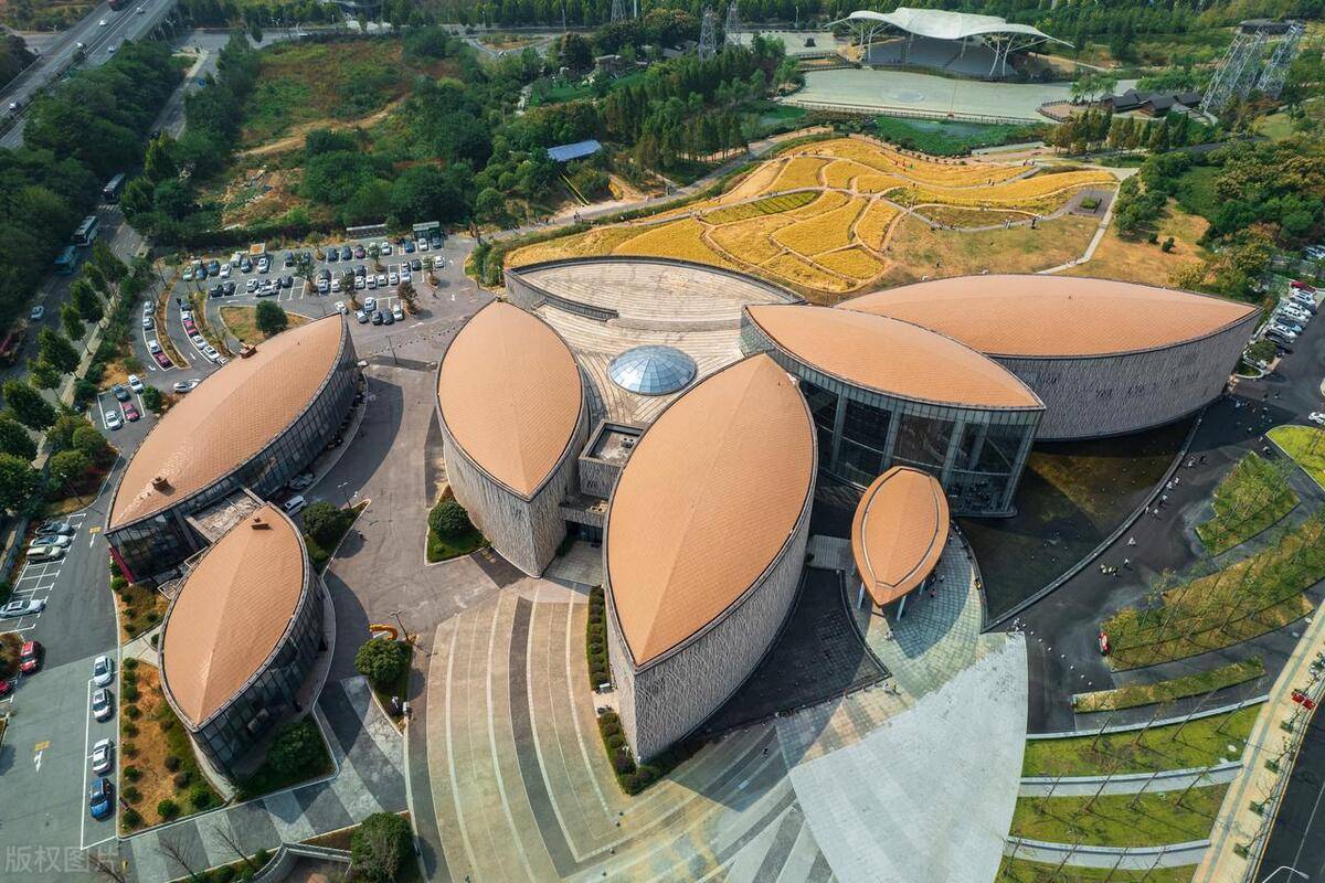 隆平水稻博物馆:解码生命之种的力量