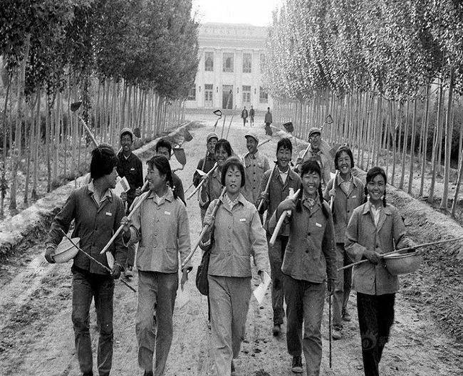 1968年云南21岁女知青失踪案!国务院多次搜寻无果,疑似被谋杀?