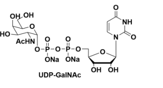 结构式:分子量 :651.32分子式 :c17h25n3na2o17p2cas号 :108320-87-2