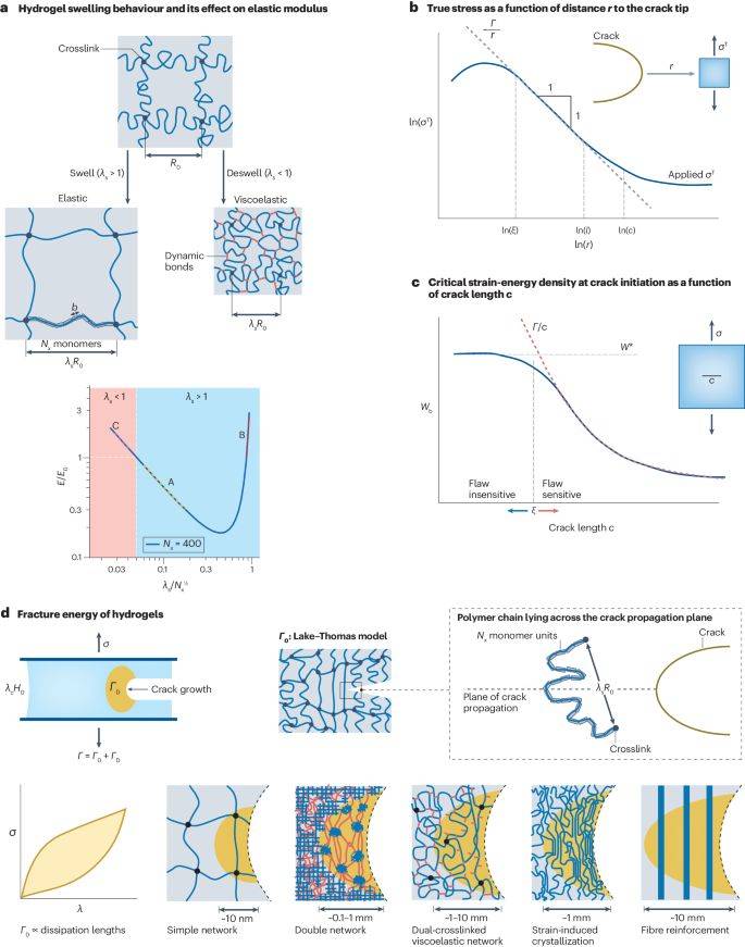 水凝胶最新nature reviews materials