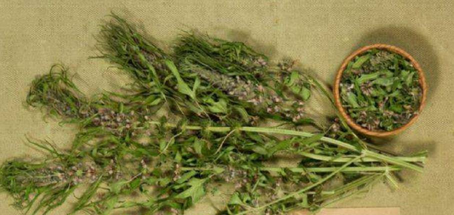 但是由于中国没有蛔蒿,所以当时制作宝塔糖的成本还是不小的,光是进口