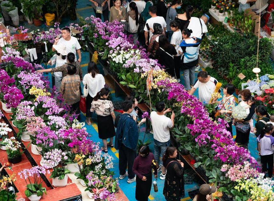 斗南鲜花卖爆了单日供货超930万枝,如何挑选喜欢的花呢