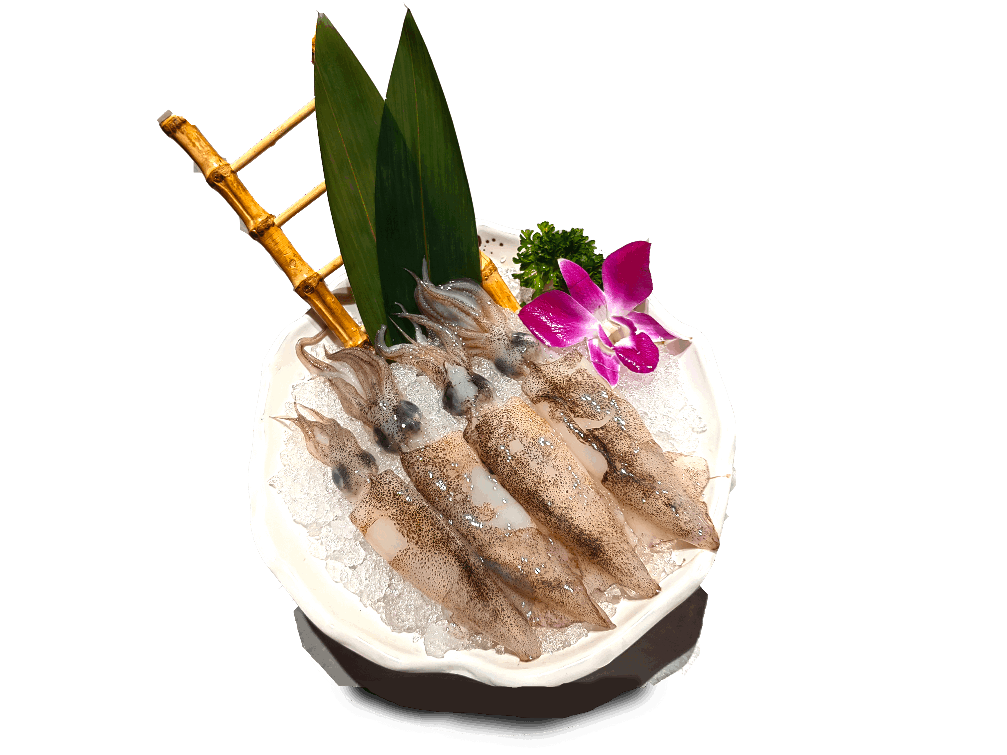 这一次,为大家精选了四款令人垂涎欲滴的食材:笔管鱿鱼,八爪鱼,鲍螺片