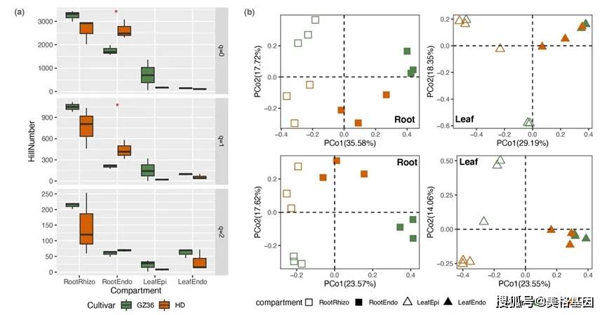 中科院地化学所郝立凯团队揭示易感和高抗烟草微生物