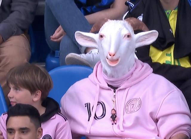 梅西受伤倒地!球迷戴山羊面具称之为"历史最佳goat"