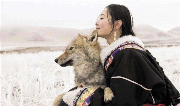 四川女孩认狼当"儿子",为养"儿子"卖车卖房,11年后结局感人