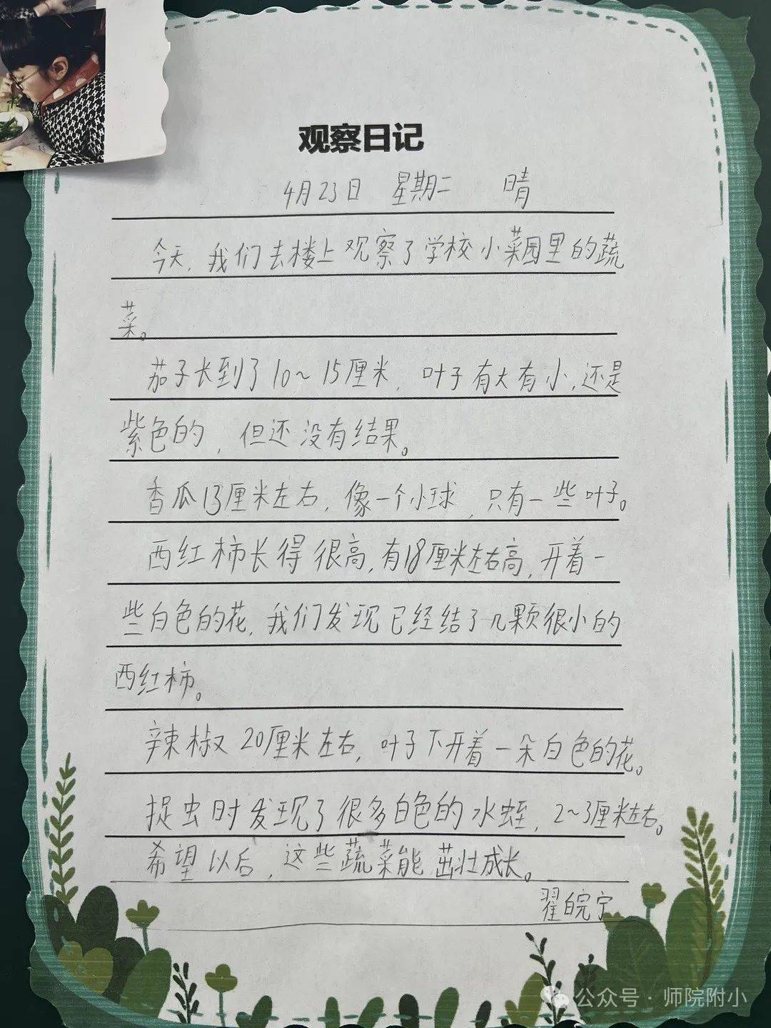 种植观察日记种植观察记录表本学期,学校德育处为各班量身定制了全新