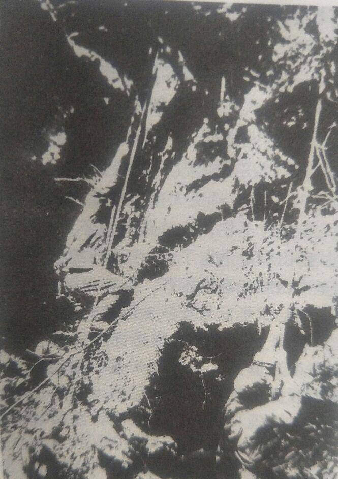 广西剿匪奇闻录—最狡猾匪首向天雷现形记_部队_广州_柳州