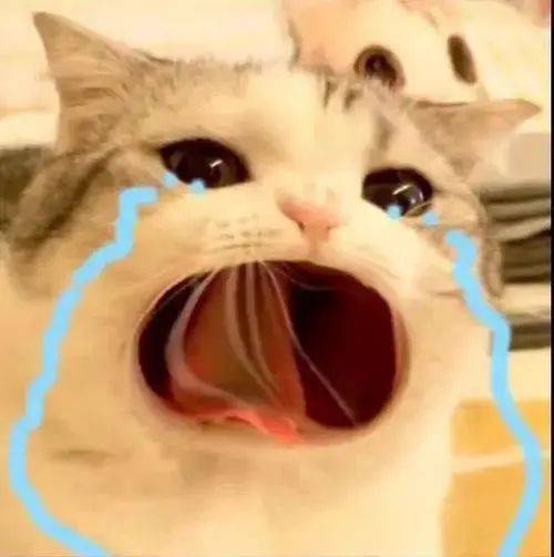 前有男女演员被曝luo聊的,今天又有粉丝脱粉回踩说李乃文婚内出轨生