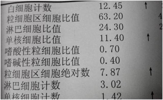若4项指标升高,需要引起警惕_检查_血液_红细胞