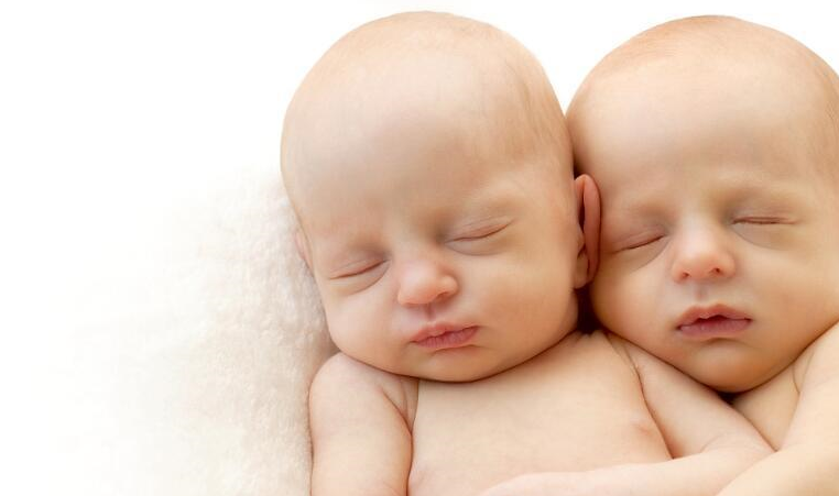 一对双胞胎有两个父亲。鉴定人:你很幸运，其中一个孩子是你同父异母的兄弟。结果。概率。