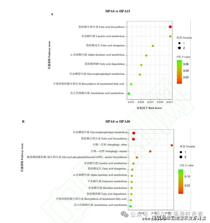 投喂雨生红球藻虾青素条件下的虹鳟血清代谢组学研究_磷脂_水平_差异
