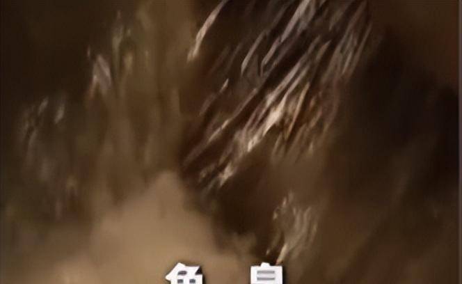 会喷鱼的神秘鱼泉,村民以此发家,专家揭秘"鱼谷泉"背后的原因