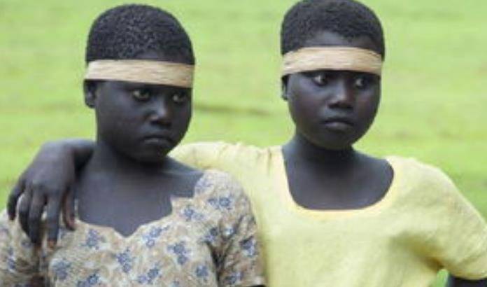 而且在东南亚的历史上,矮黑人也确实在很长一段时间内都遭到贩卖.