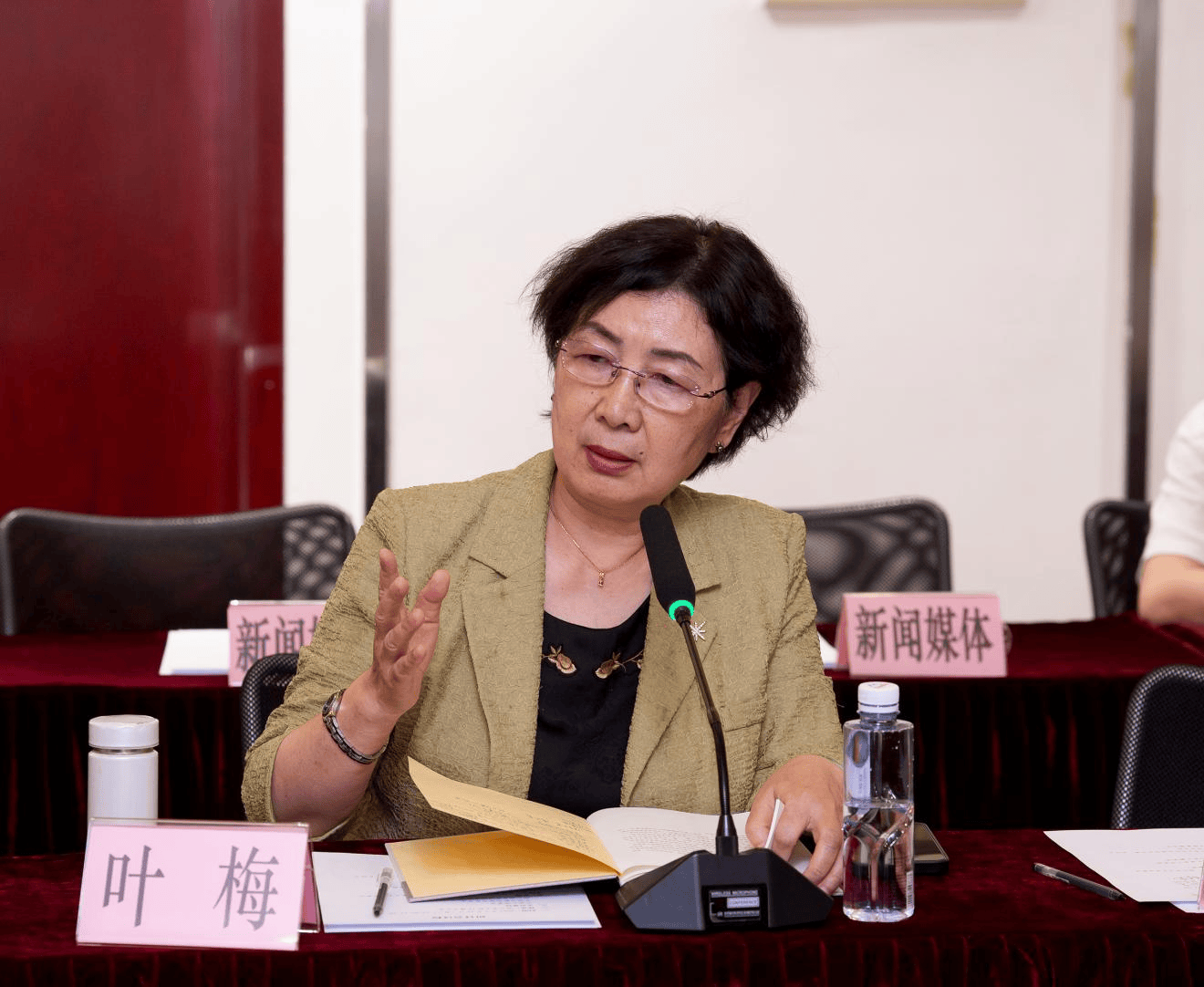 叶梅:试图救心的善意表达与混合叙事