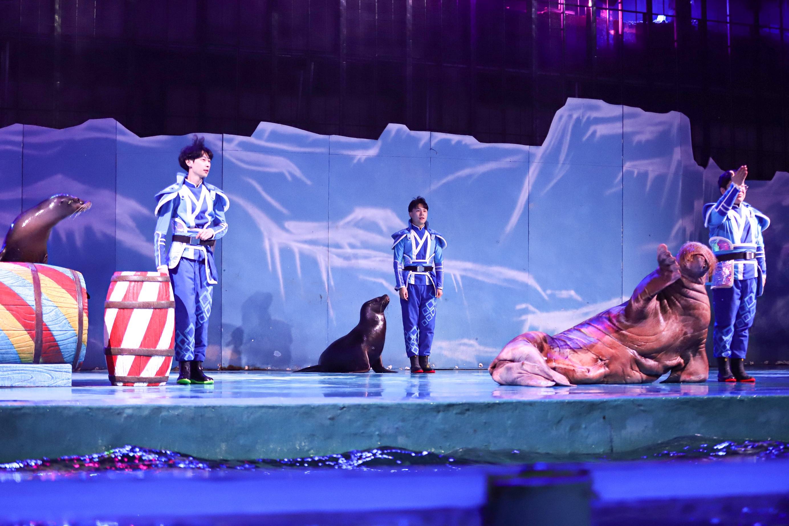 5.19中国旅游日,不一样的大连圣亚