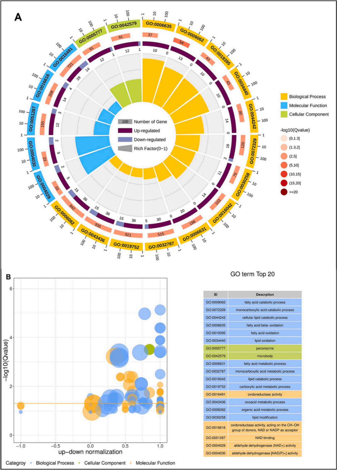 6个样本8 的纯转录组 qpcr文章应该包含哪些分析内容