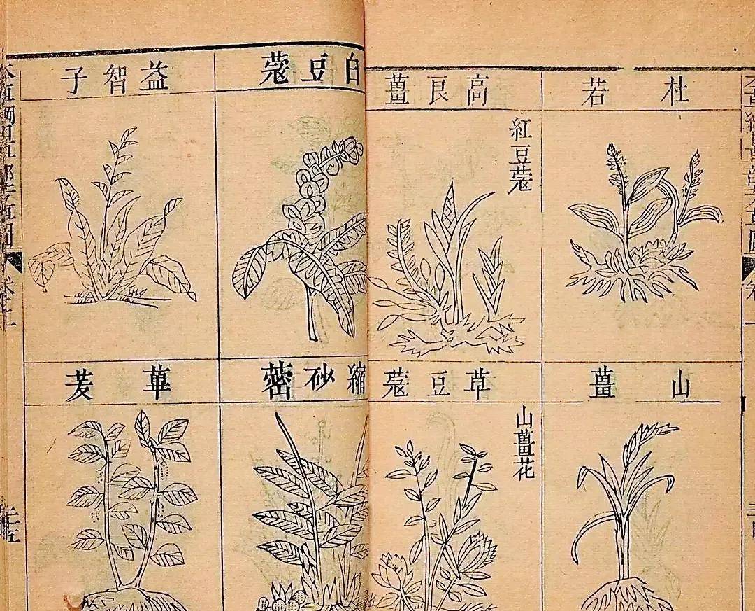 李时珍历经27年写下医学巨著《本草纲目》,被后人尊称为"药圣"