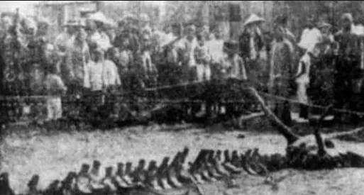 营口坠龙高邮湖龙吸水事件在2007年9月6日,根据口述,在当时的江苏高邮