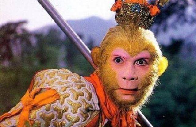 坚持下去的动力,小时候他坚信自己只要努力成为美猴王就能见到哥哥,没