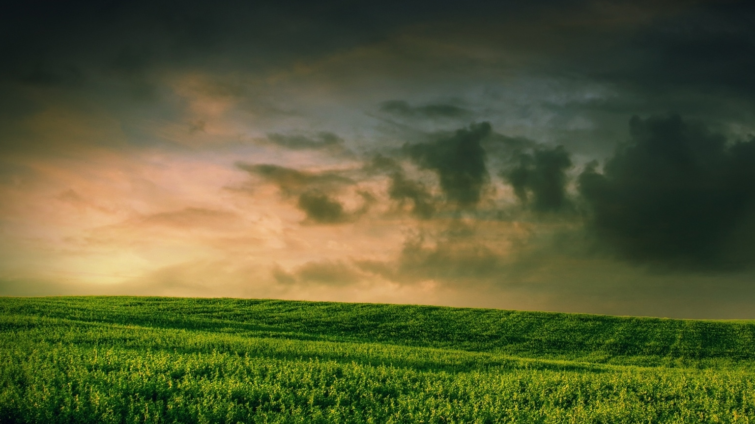 壁纸 草原 桌面 1536_864