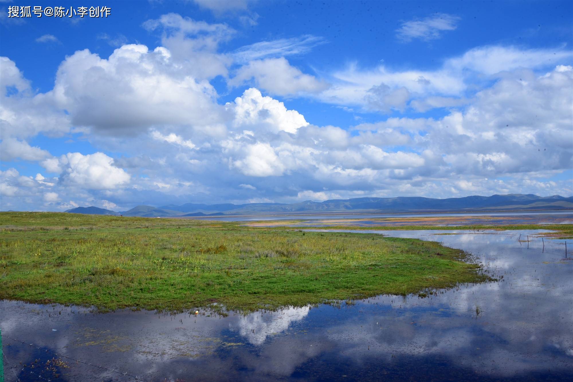 青海尕海湖:鹤舞高原,百鸟翔集,烟波浩渺,水天一色,美呆了!