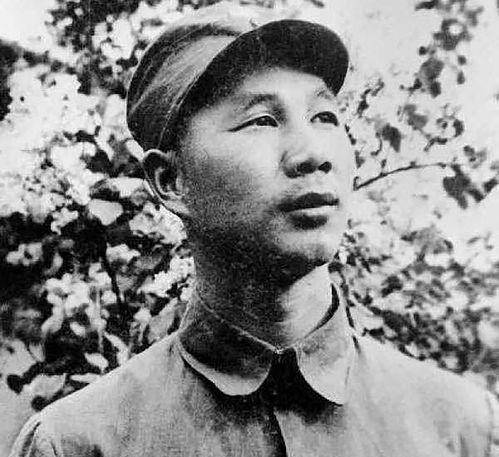 杨成武晚年回忆黄土岭战斗:这一战,我有两个没想到