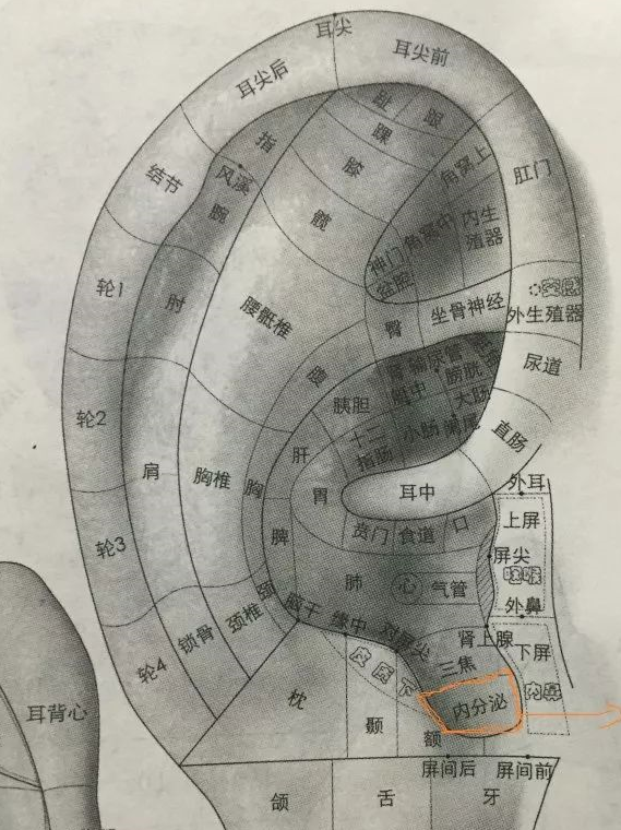 按揉刺激这个区域