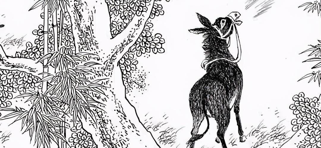 民间故事:寡妇家经常传出驴的惨叫,农夫门外偷看,因此得了善报