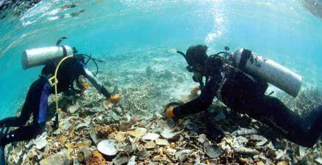 华光礁面积 超过180平方千米,可以修建大型渔港_我国_群岛_南海
