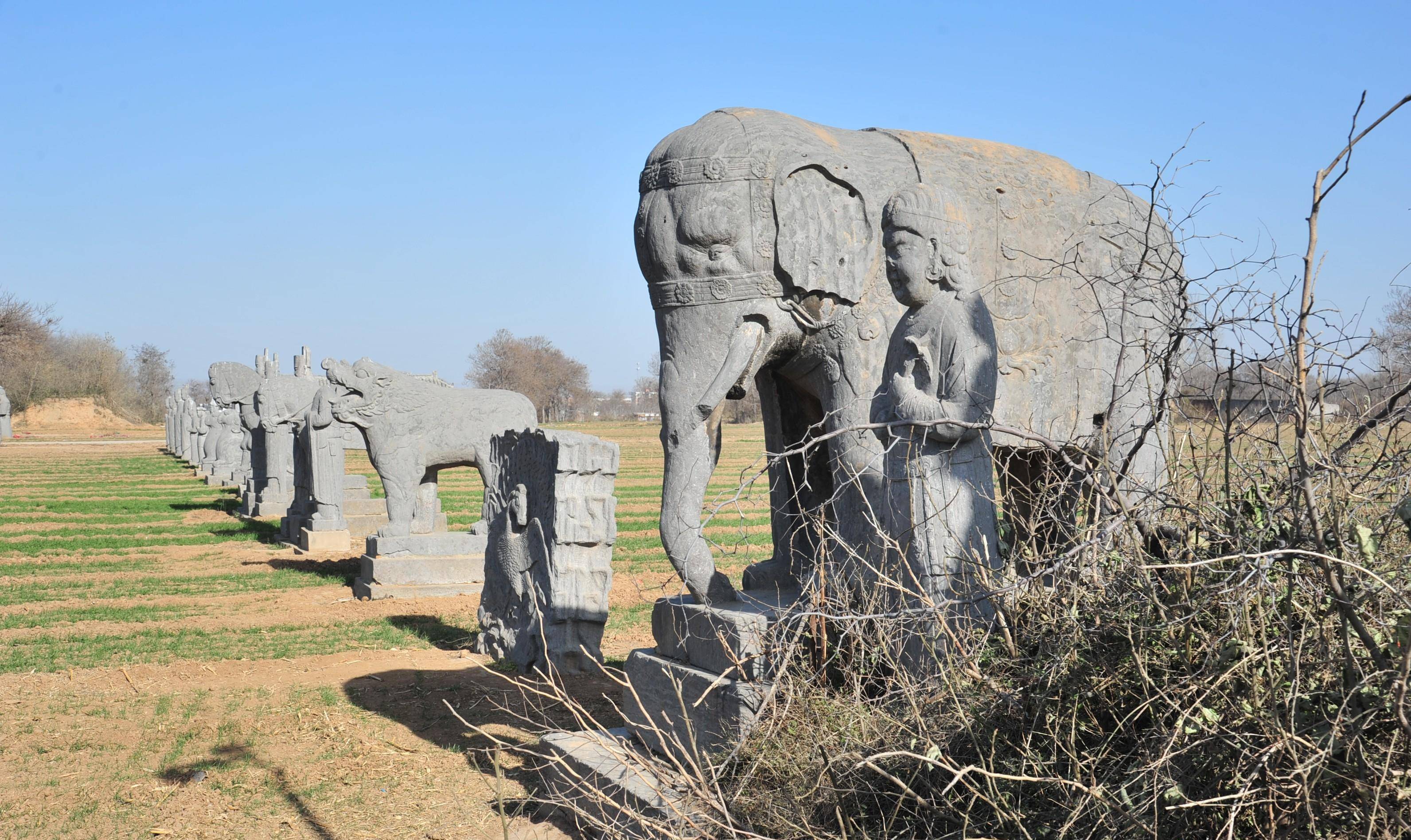 奇"豫"记:追迹叛逆而短命的雄主