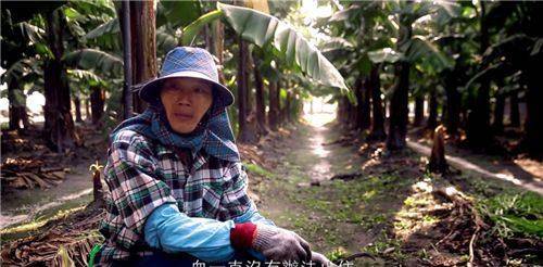 陈君汝每天以泪洗面,失控撞墙,但"为孩子讨回公道"已经成为了她生活的