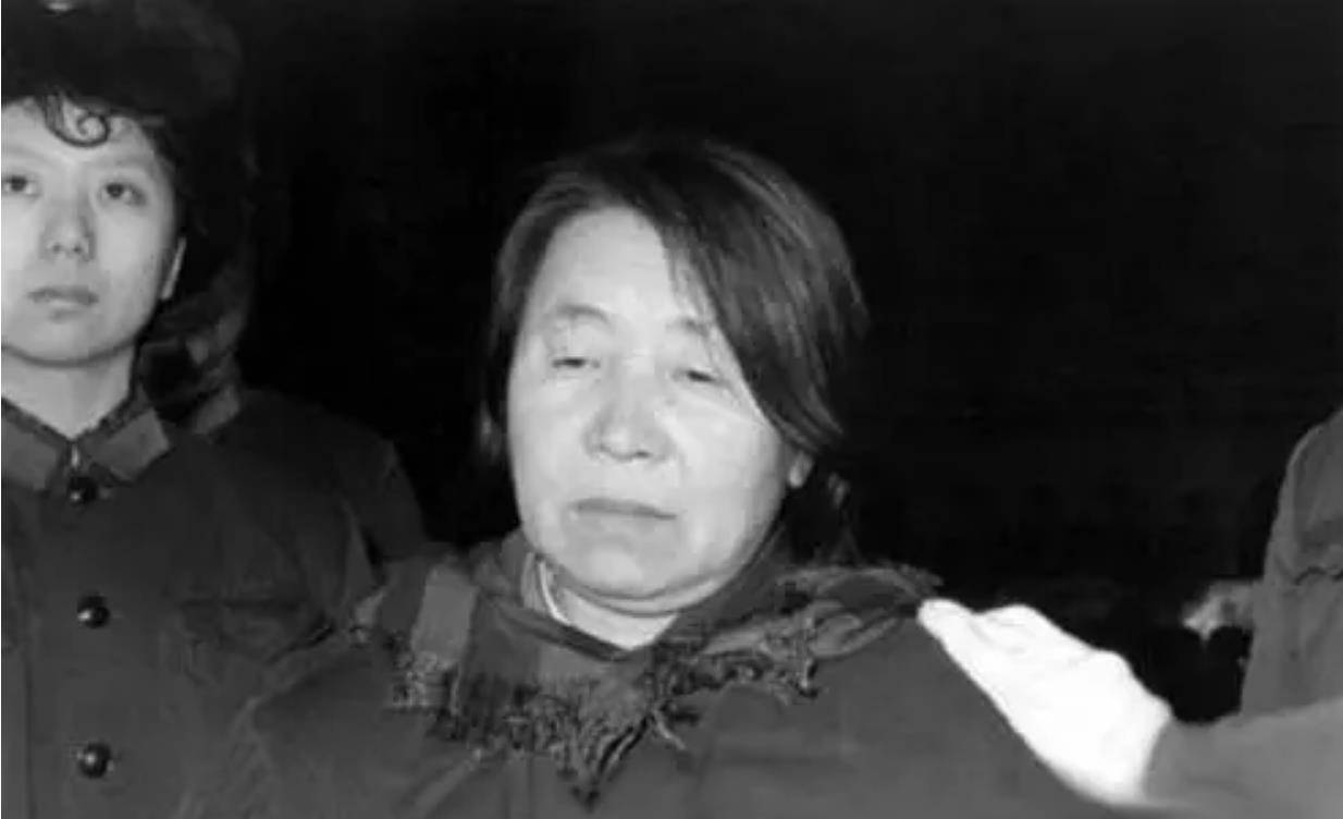 案件的主谋是王守信,当时担任黑龙江省宾县燃料公司的党支部书记兼