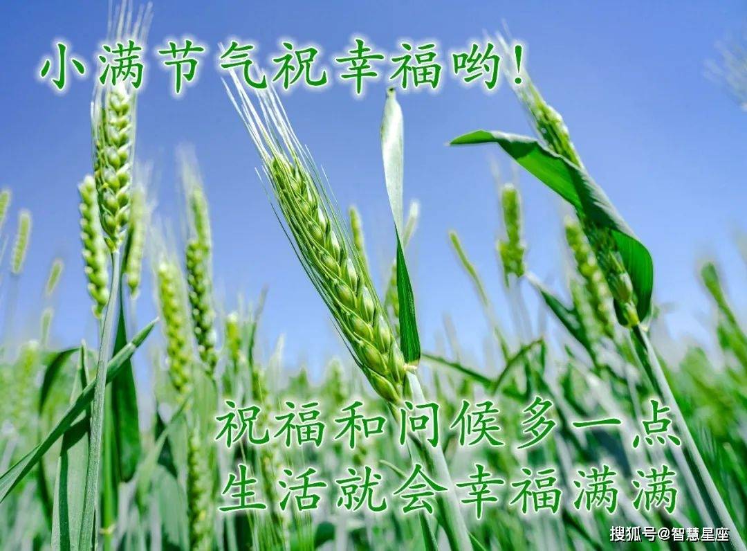 小满节气早上好问候祝福动画表情,小满问候祝福语动态表情图片精选