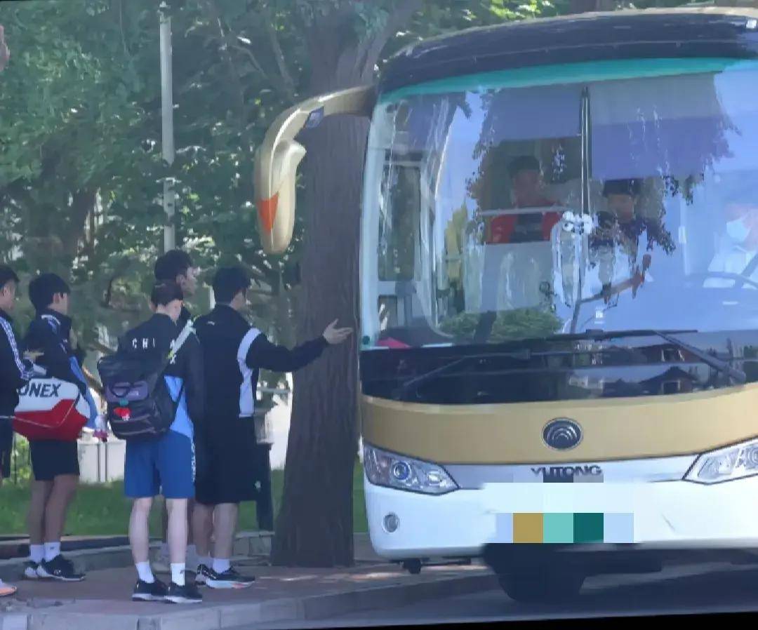 国乒今日新鲜事:莎莎清爽新发型,高远,小胖上训,柳丁现身太原