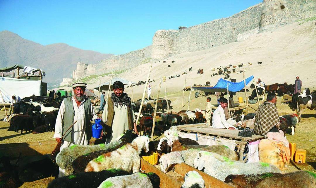 拳打伊朗脚踢印度,曾经称霸亚洲的阿富汗,为何沦落如此?