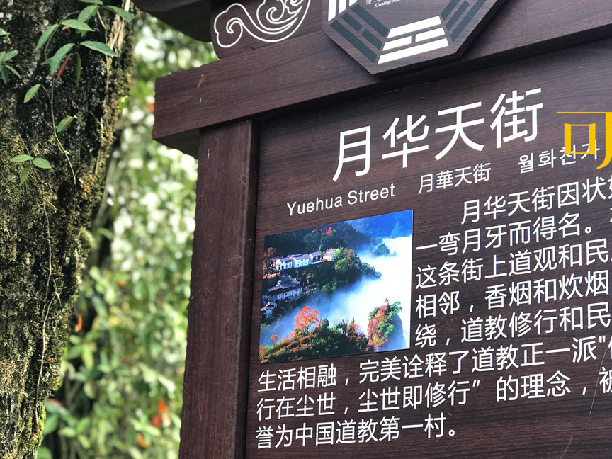 徽州之旅:齐云山月华天街春茶采摘,晒的笋干和咸肉让人流口水