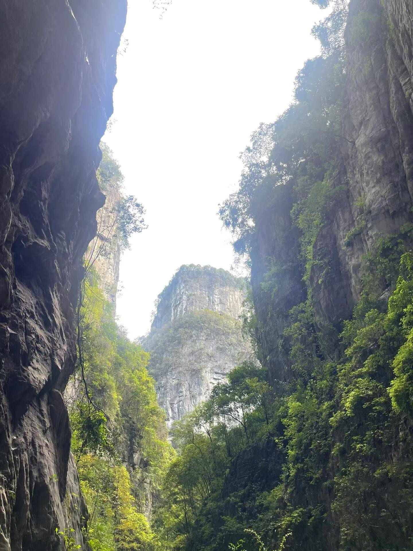 重庆亲子周边4日游攻略,重庆仙女山跟团四日游多少钱经典路线